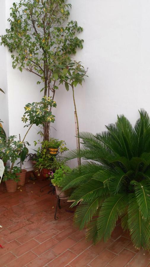 Patios Con Encanto Córdoba Buitenkant foto
